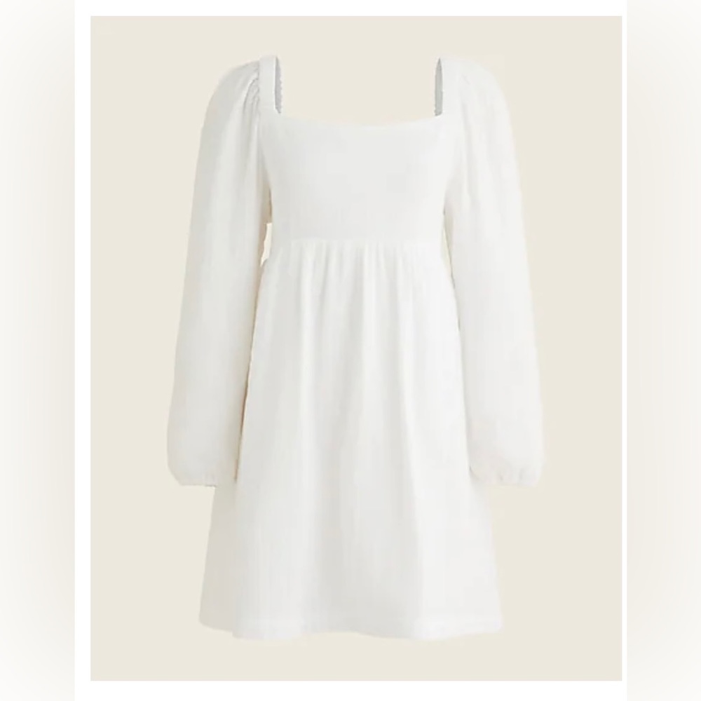 NWT J Crew Mini Dress